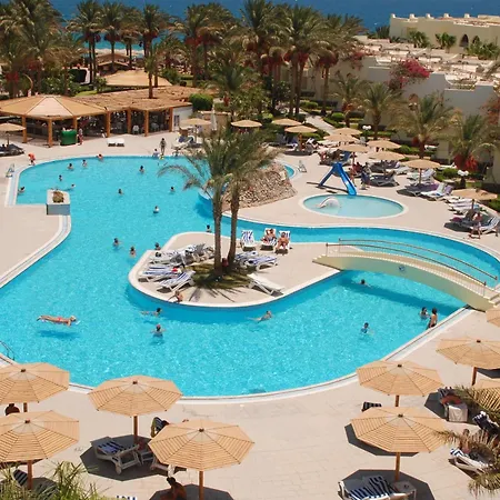 Palm Beach Resort Families And Couples Only