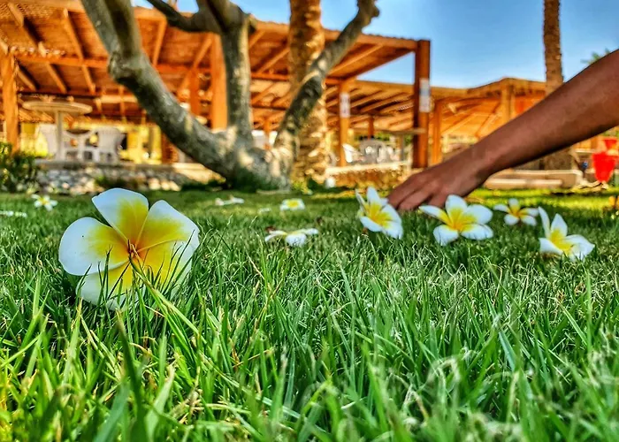 Palm Families And Couples Only Resort Hurgada