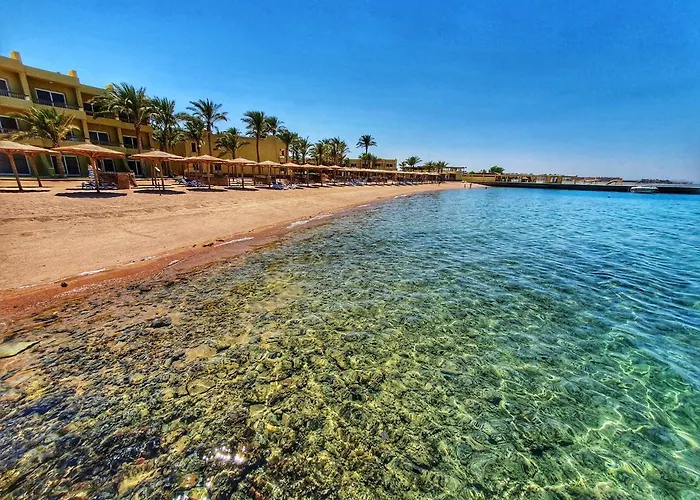 Palm Families And Couples Only 4*