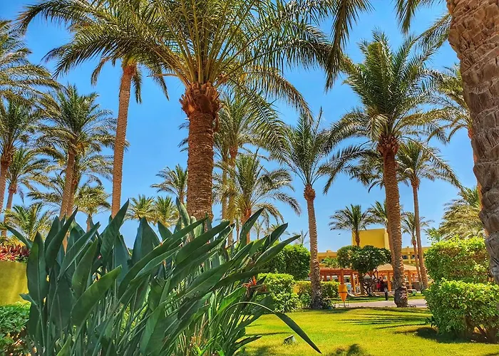 Palm Families And Couples Only 4*