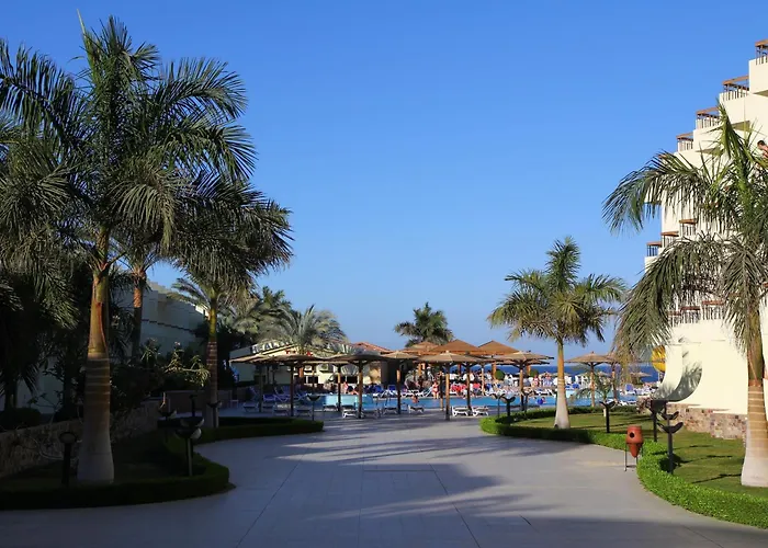 Palm Families And Couples Only 4*
