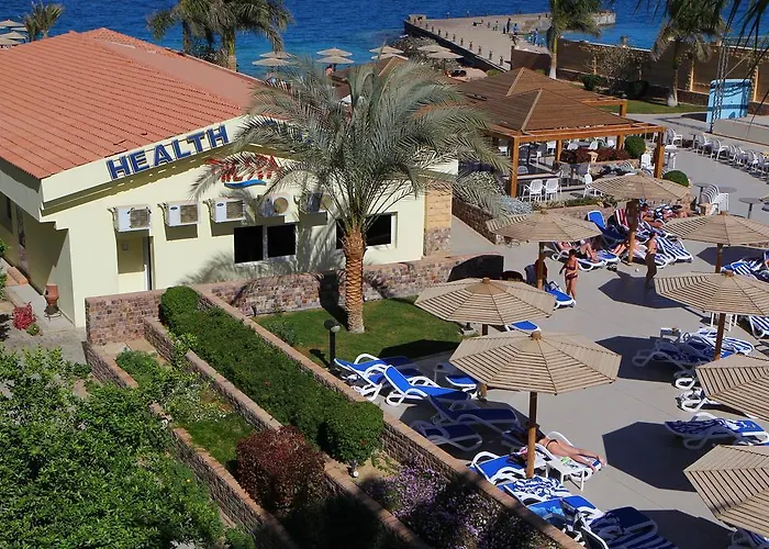 Resort Palm Families And Couples Only