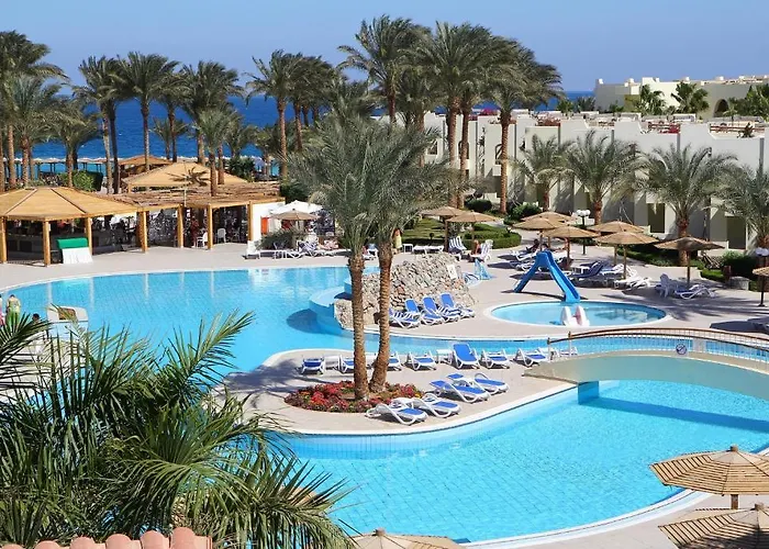 Palm Families And Couples Only 4*
