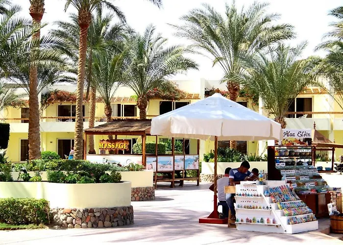 Palm Families And Couples Only